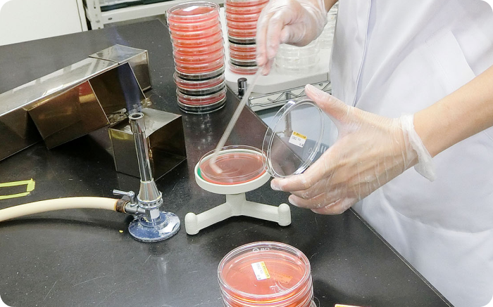 厳格なチェック体制　イメージ